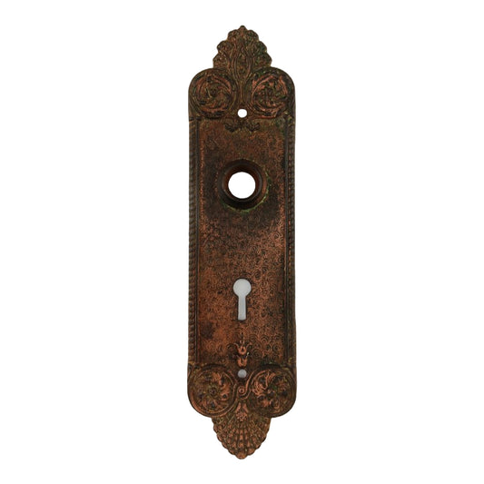 Penn Yucca Door Plate image 0