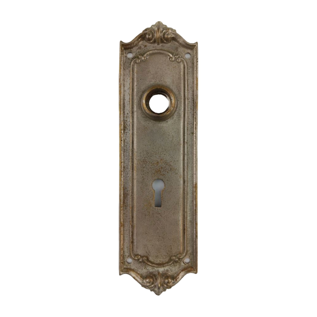 Sargent Vernon Door Plate Nickel image 0