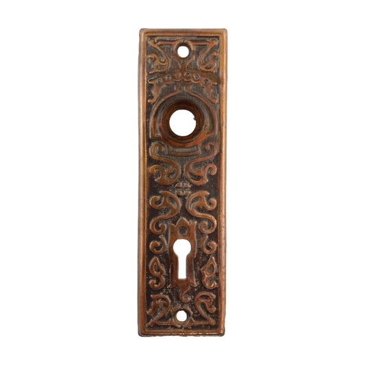 Taylor & Boggis Lorain Door Plate Wrought Steel image 0