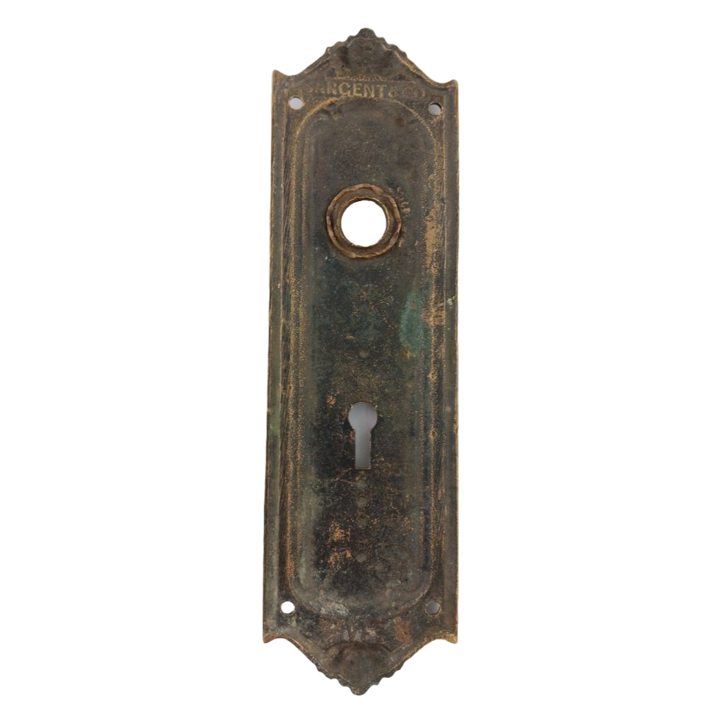 Sargent Vernon Door Plate image 2