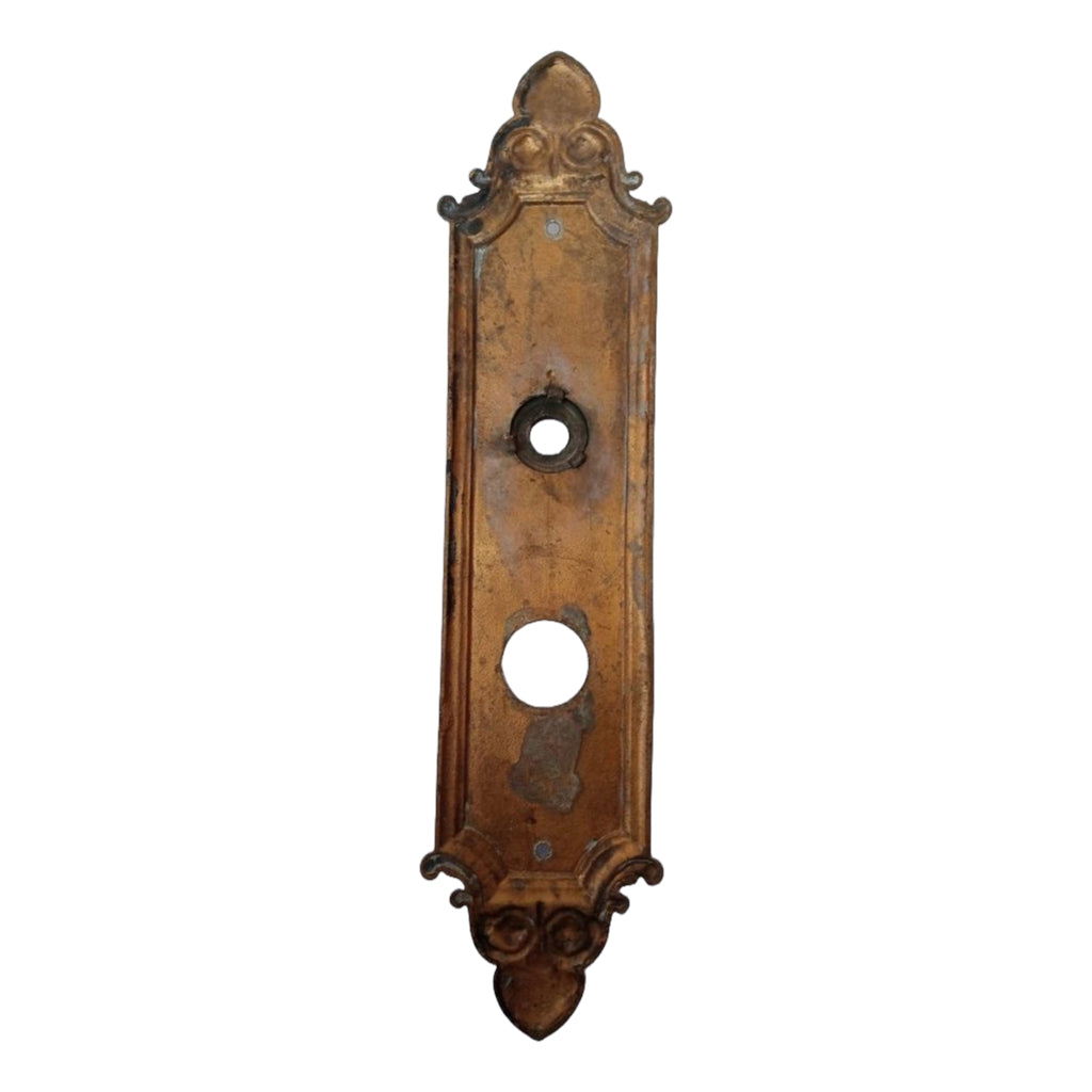 Barrows Geneva Door Plate- Keyed Entry image 2