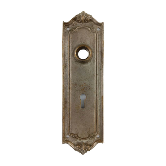 Sargent Vernon Door Plate Nickel image 0