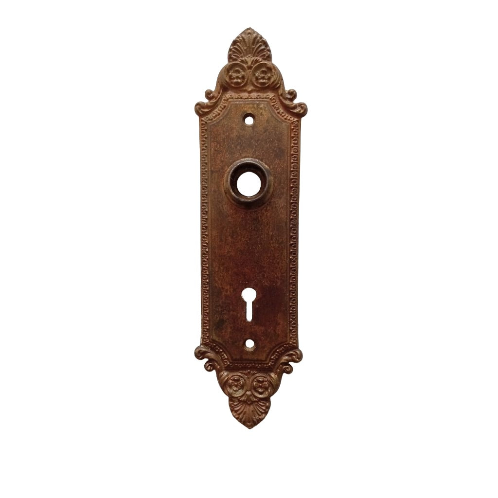Barrows Geneva Door Plate Brass Plated