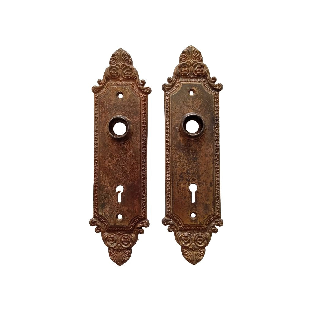 Barrows Geneva Door Plate Brass Plated