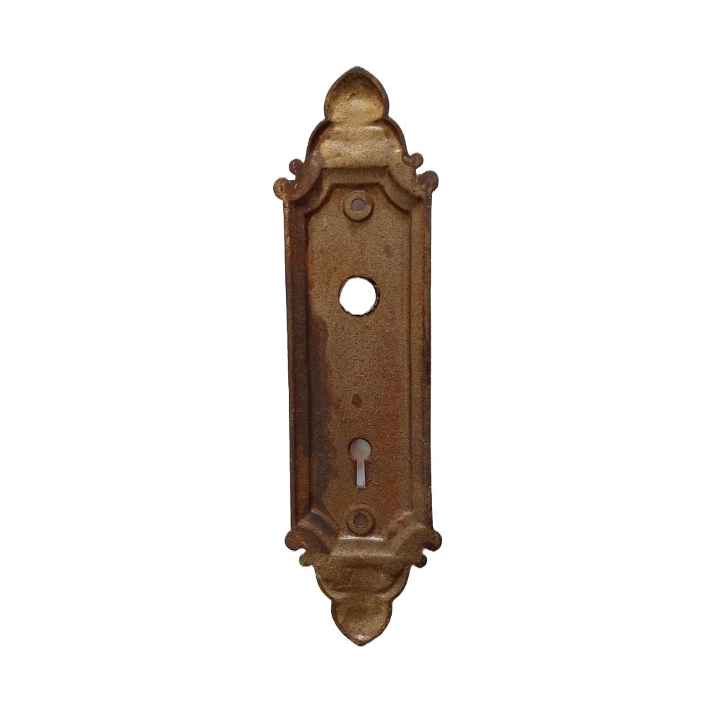 Barrows Geneva Door Plate Steel Finish
