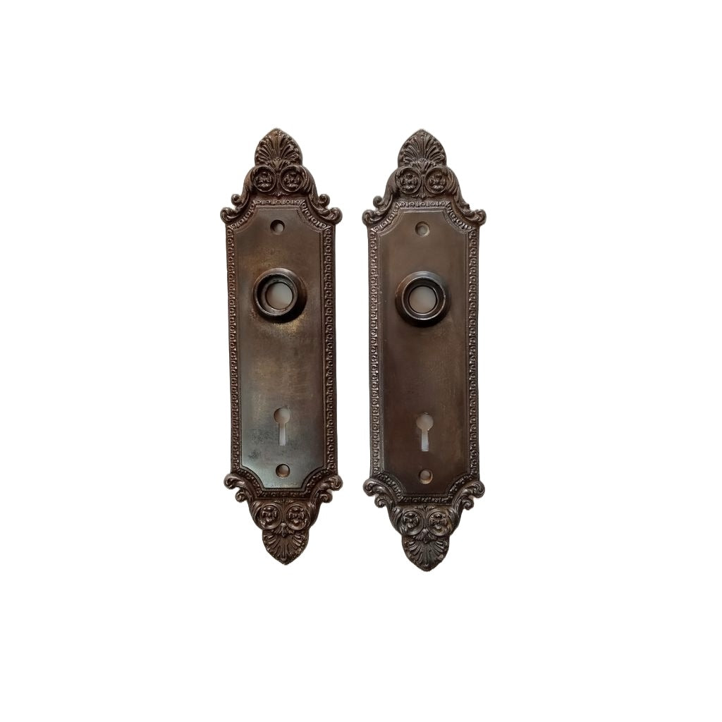 Barrows Geneva Door Plate Steel Finish