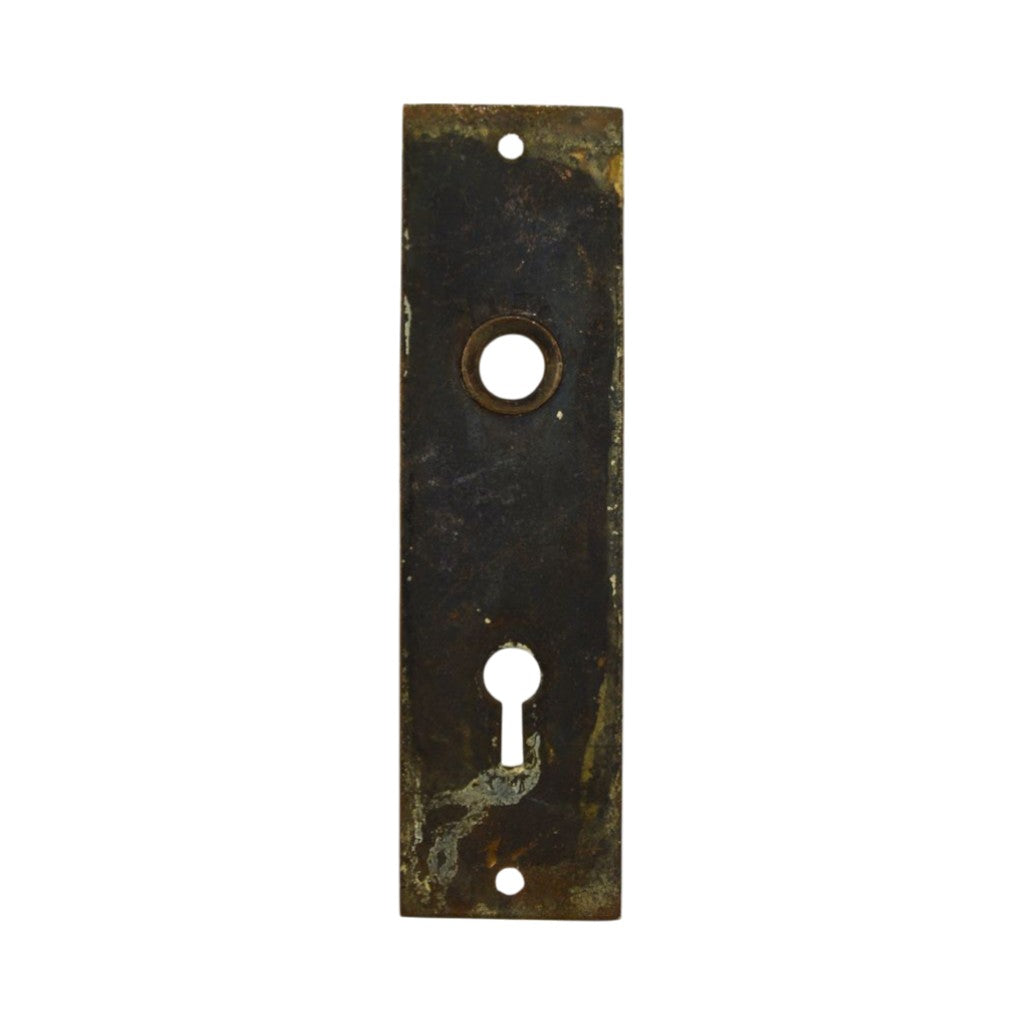 Brittan Graham & Mathes Lotus Door Plate Bronze