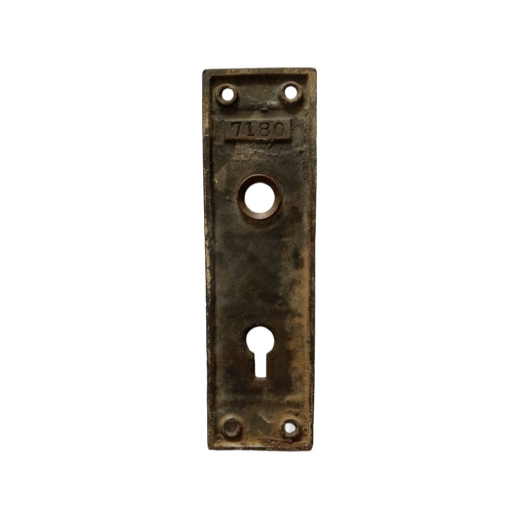 Brittan Graham & Mathes Lotus Door Plate Bronze