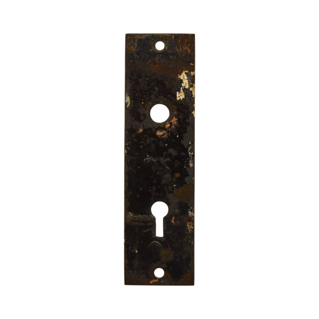 Brittan Graham & Mathes Lotus Door Plate Bronze Plated