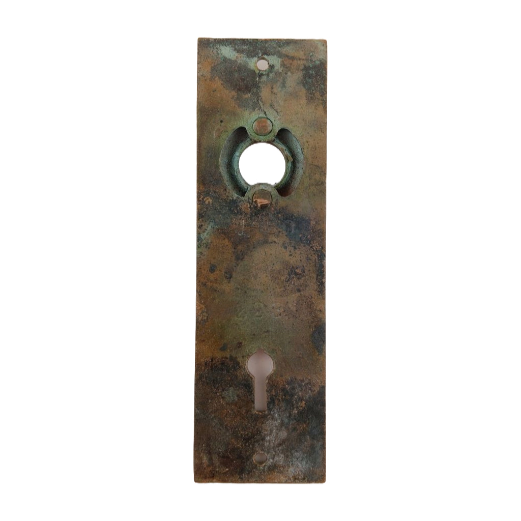 Hopkins & Dickinson Door Plate Polished