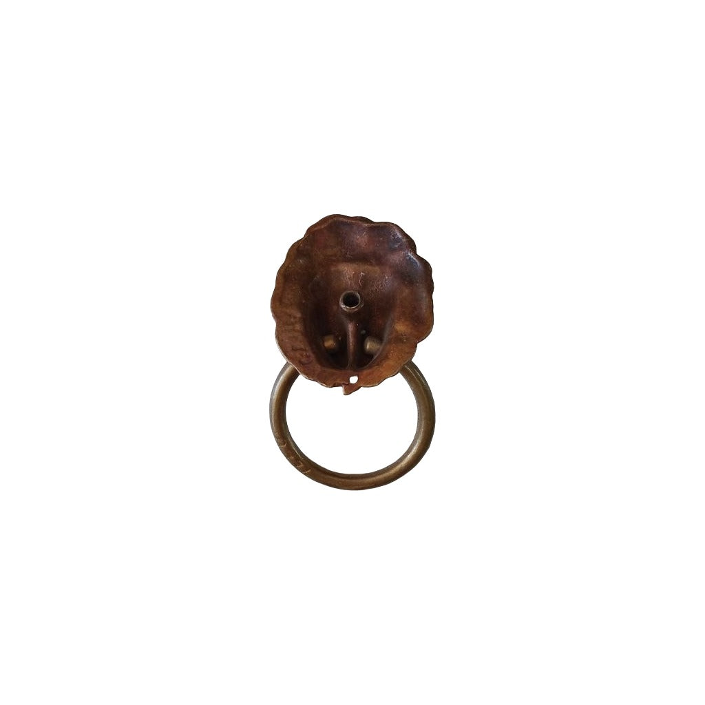 Brass Lion Head Drawer Pull