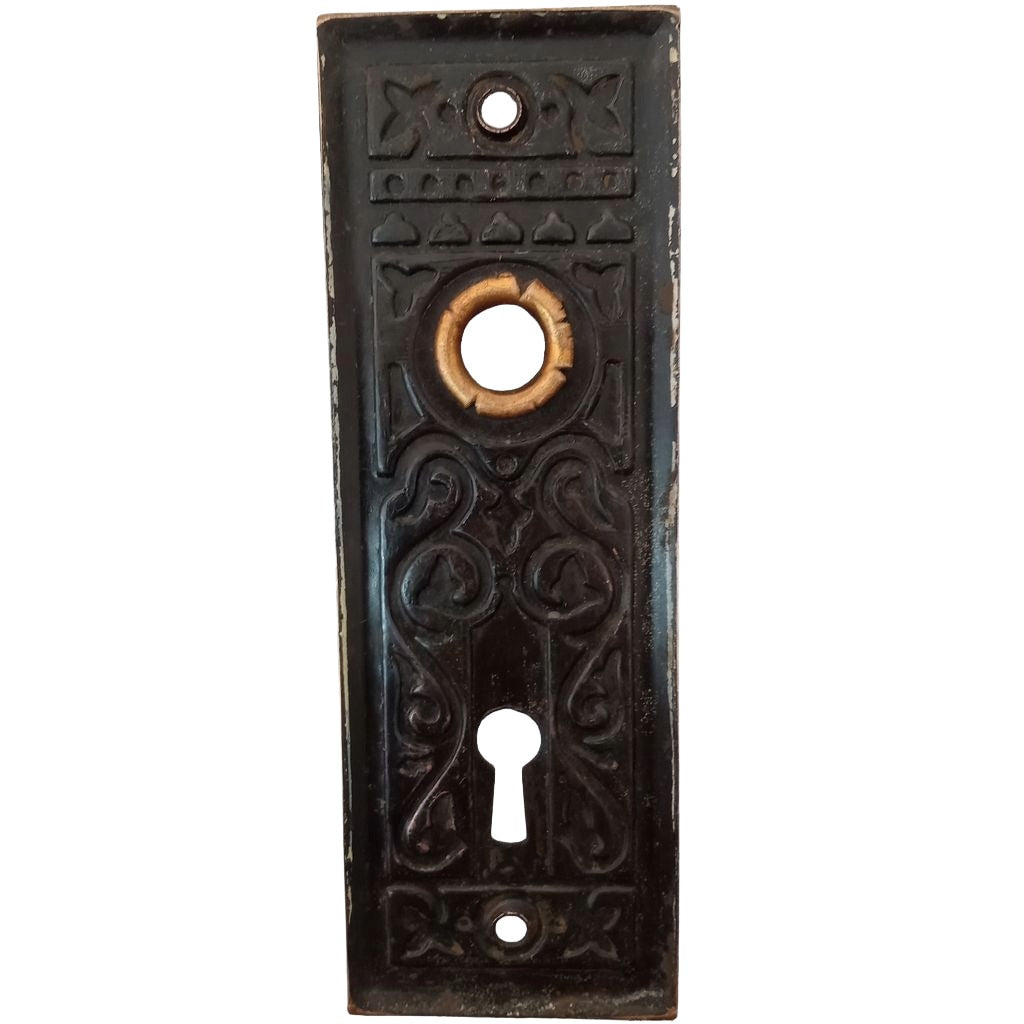 Penn Magnolia Door Plate Bronze