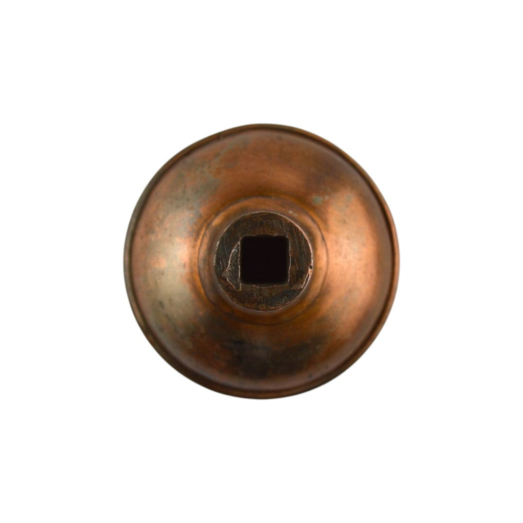 Penn Magnolia Doorknob var.