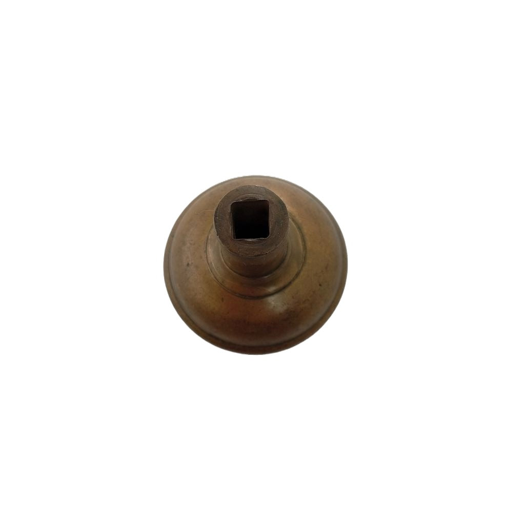 Penn Yucca Doorknob