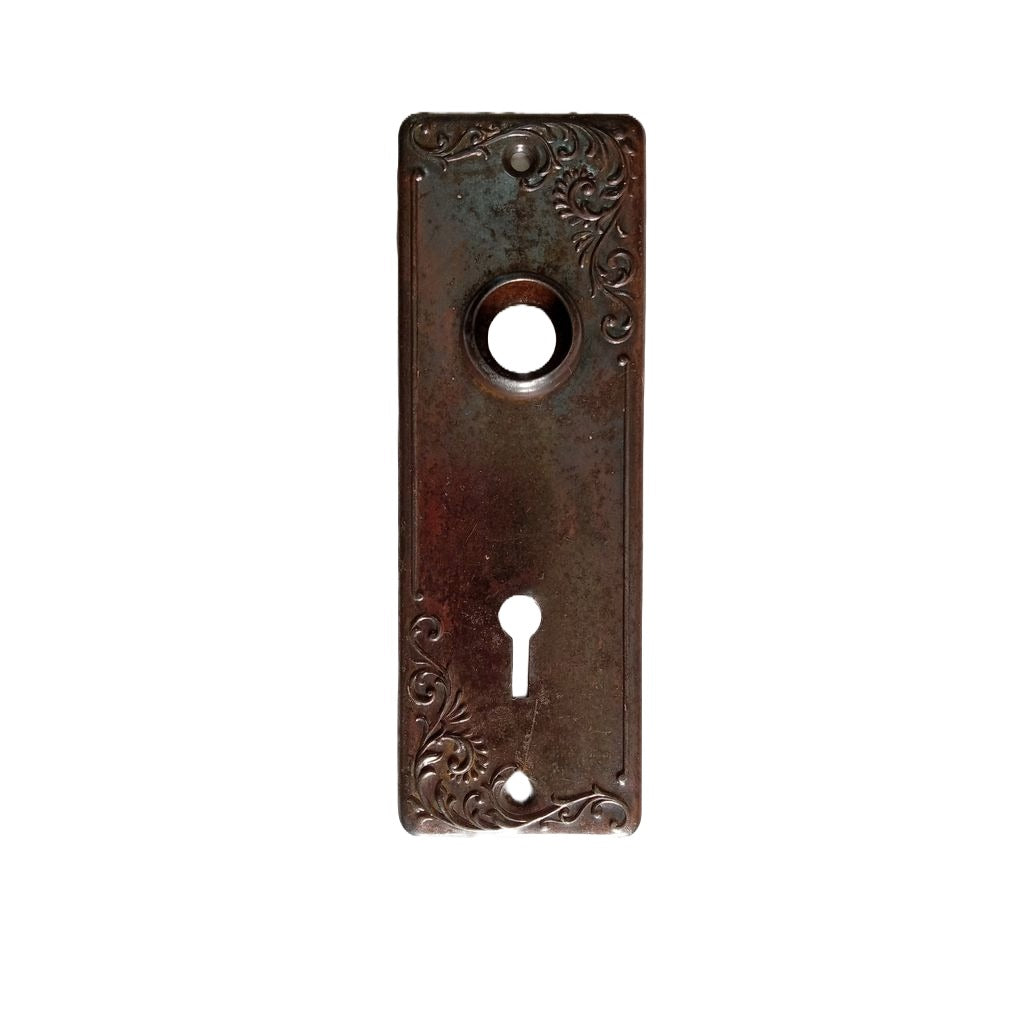 US Steel Lyons Door Plate