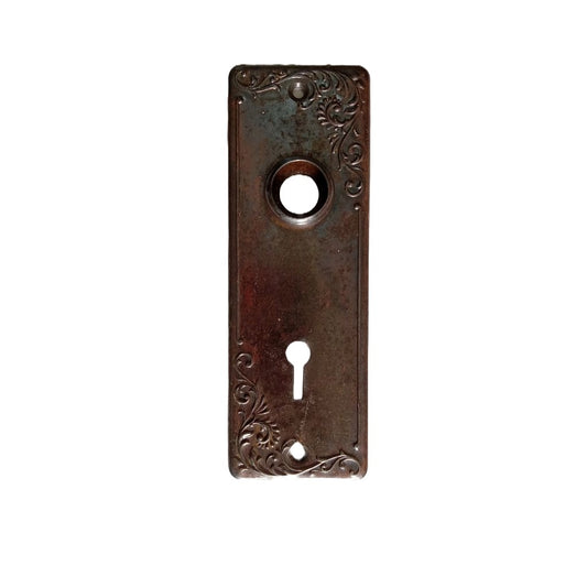 US Steel Lyons Door Plate