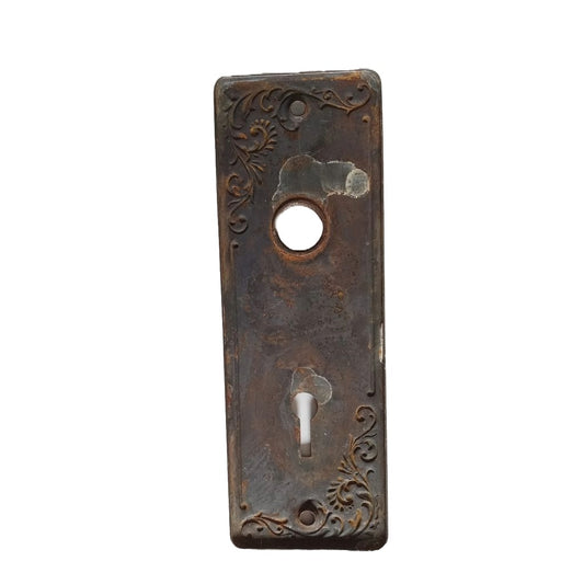 US Steel Lyons Door Plate