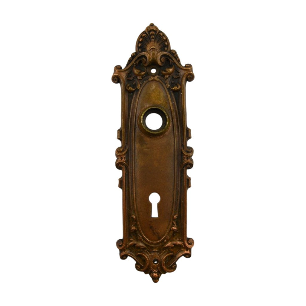 Yale Largo Door Plate