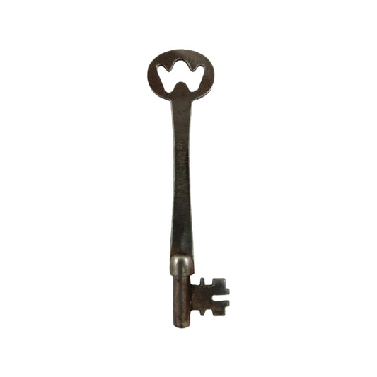 US Steel Skeleton Key image 0